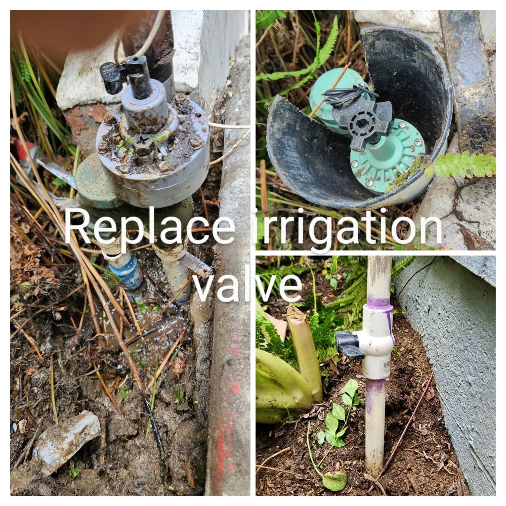 Slide of Aurelio Rojas