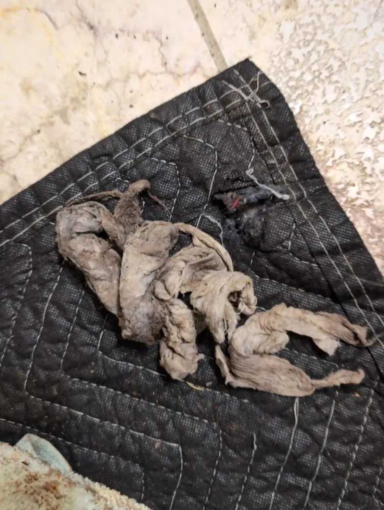 Slide of Austin Lucero Plumbing & Backflow