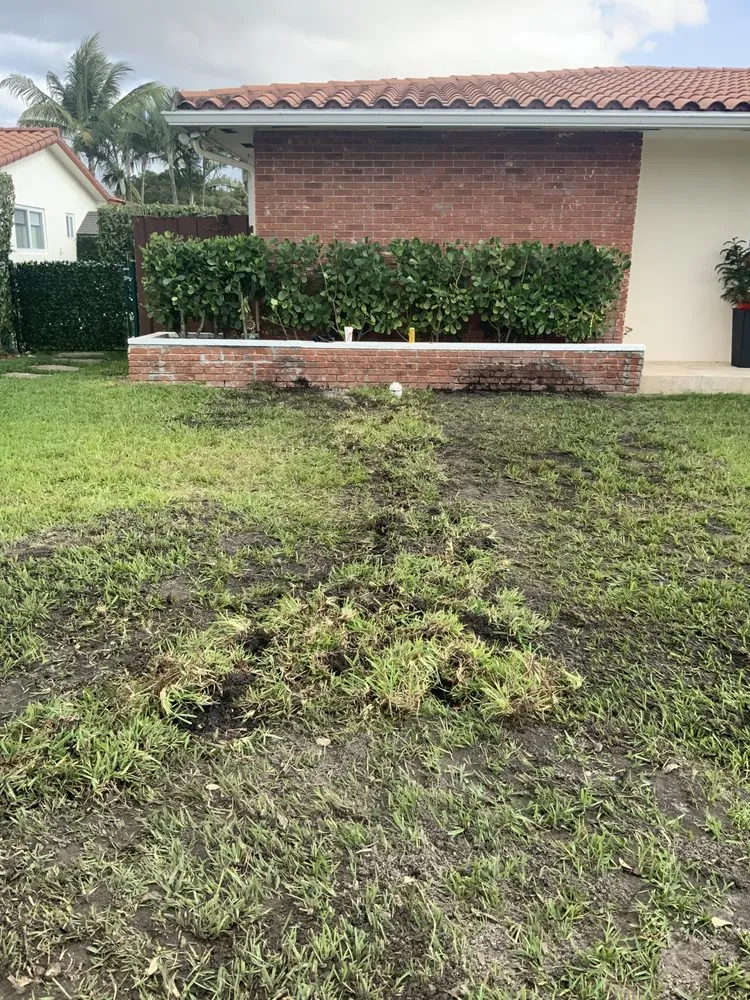 Slide of Authentic Plumbing Services