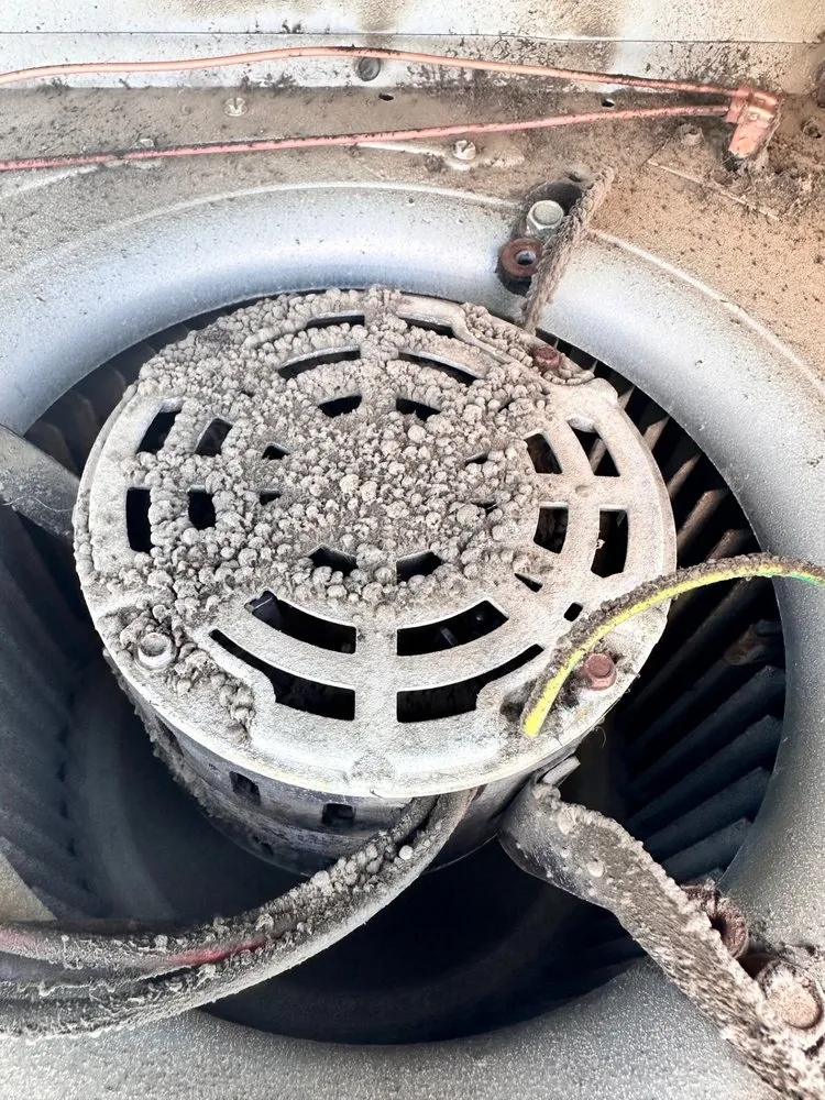 Affordable leak detection in Corona, CA by Authority Plumbing, Heating And Air