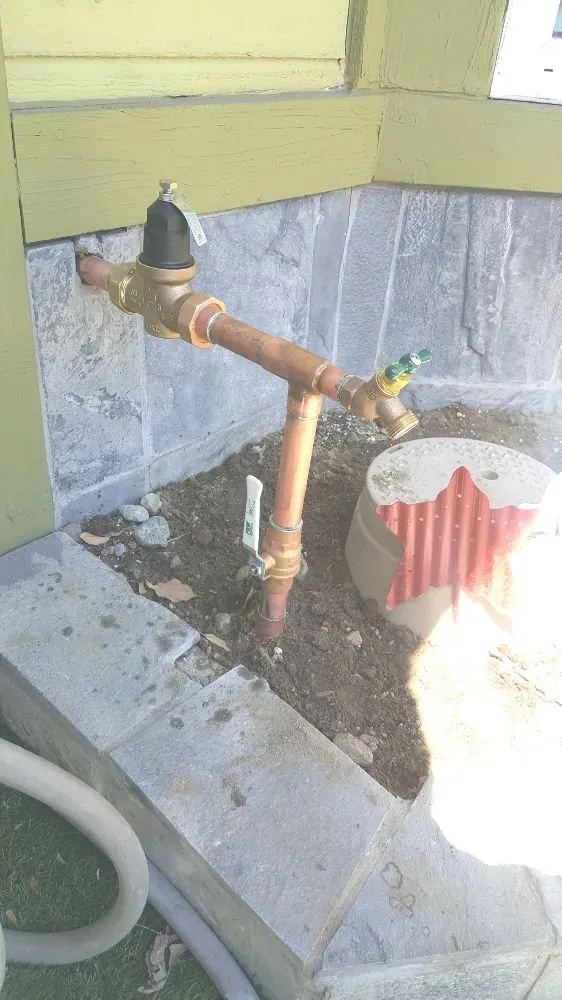 Slide of Automatic Rooter