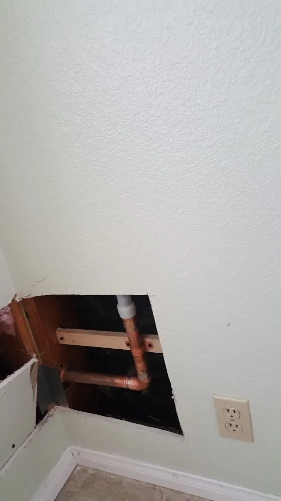 Slide of Automatic Rooter