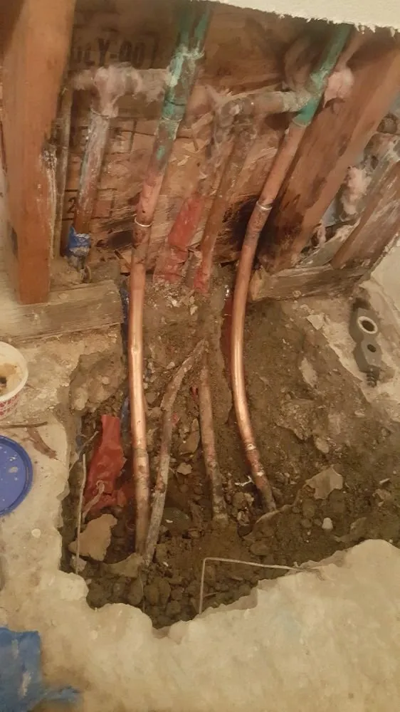 Slide of Automatic Rooter