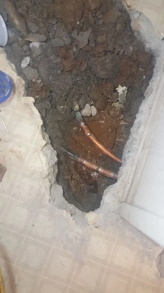 Slide of Automatic Rooter