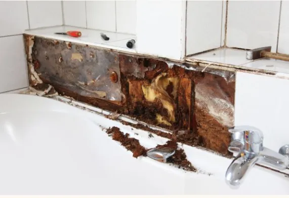 Slide of Autumn Leaf Home Services