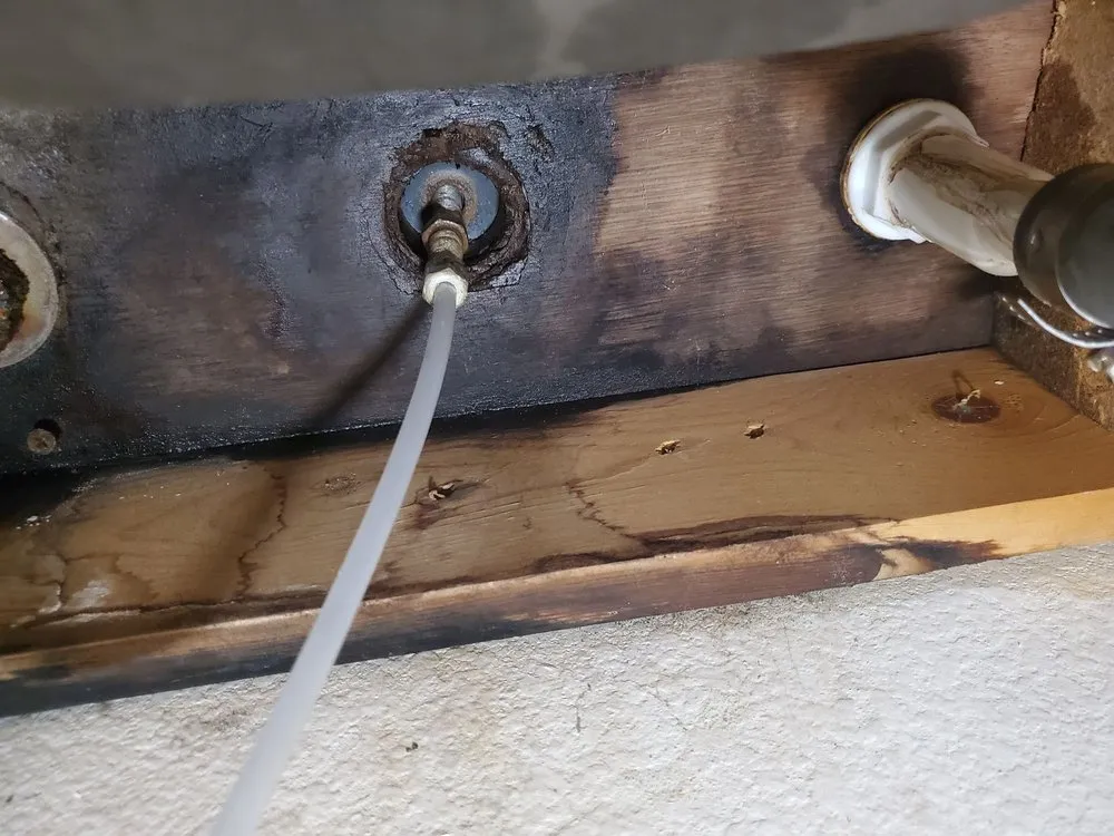 Slide of Avant Rooter