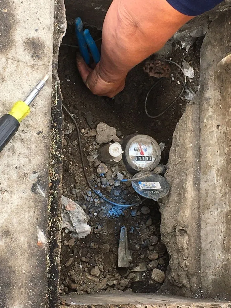 Slide of Avant Rooter