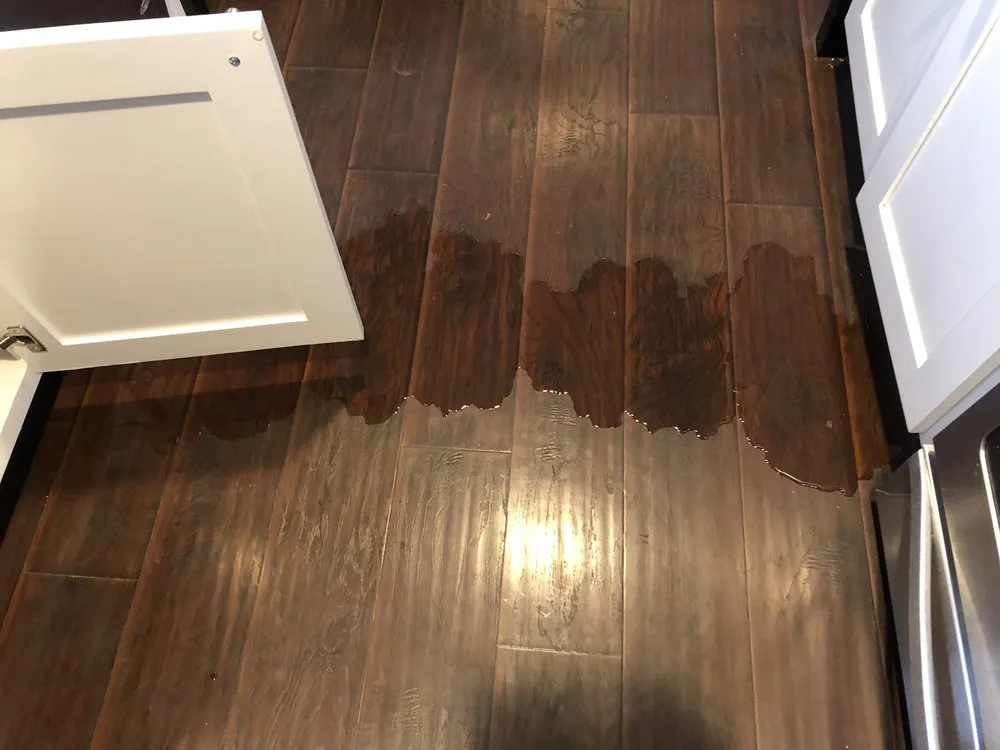 Slide of Avant Rooter