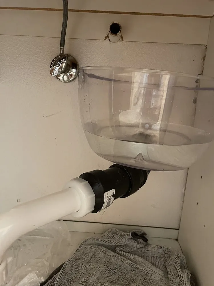 Slide of Avant Rooter