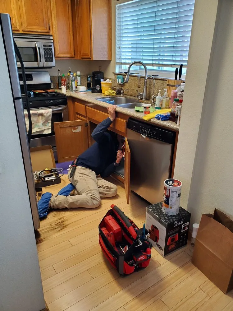 Slide of Avant Rooter