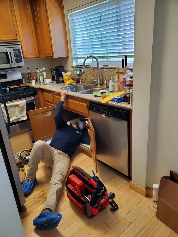 Slide of Avant Rooter