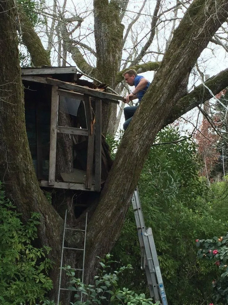 Slide of AVAVIO Construction