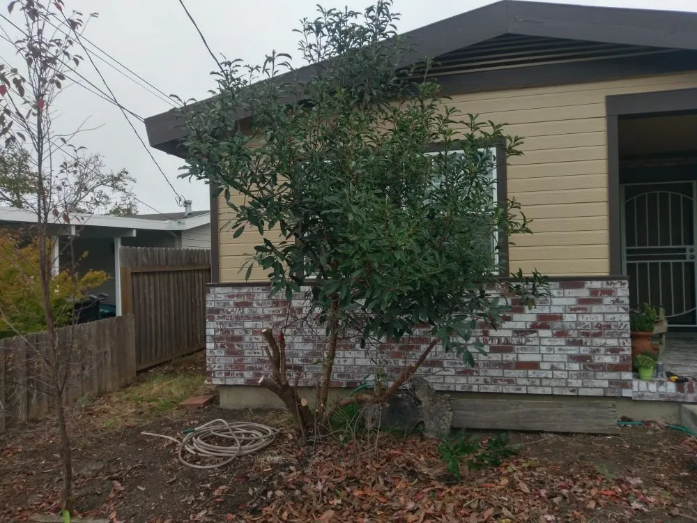 Slide of AVAVIO Construction