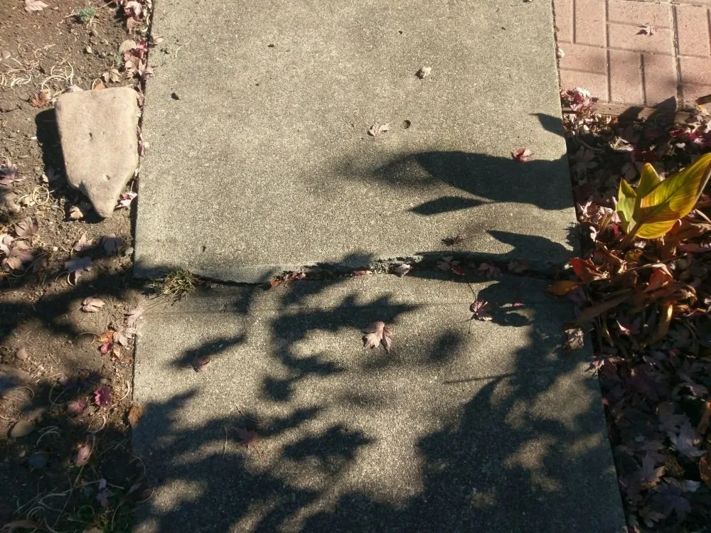 Slide of AVAVIO Construction