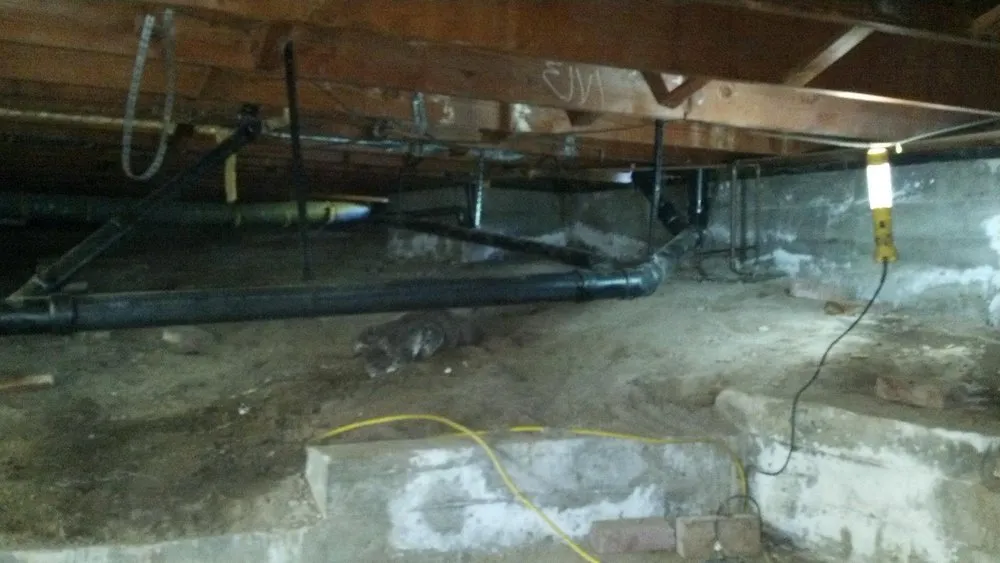 Slide of AVG Plumbing