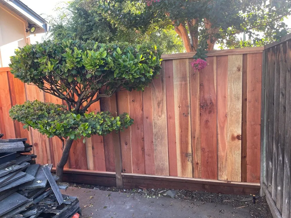 Slide of Avila's Construction