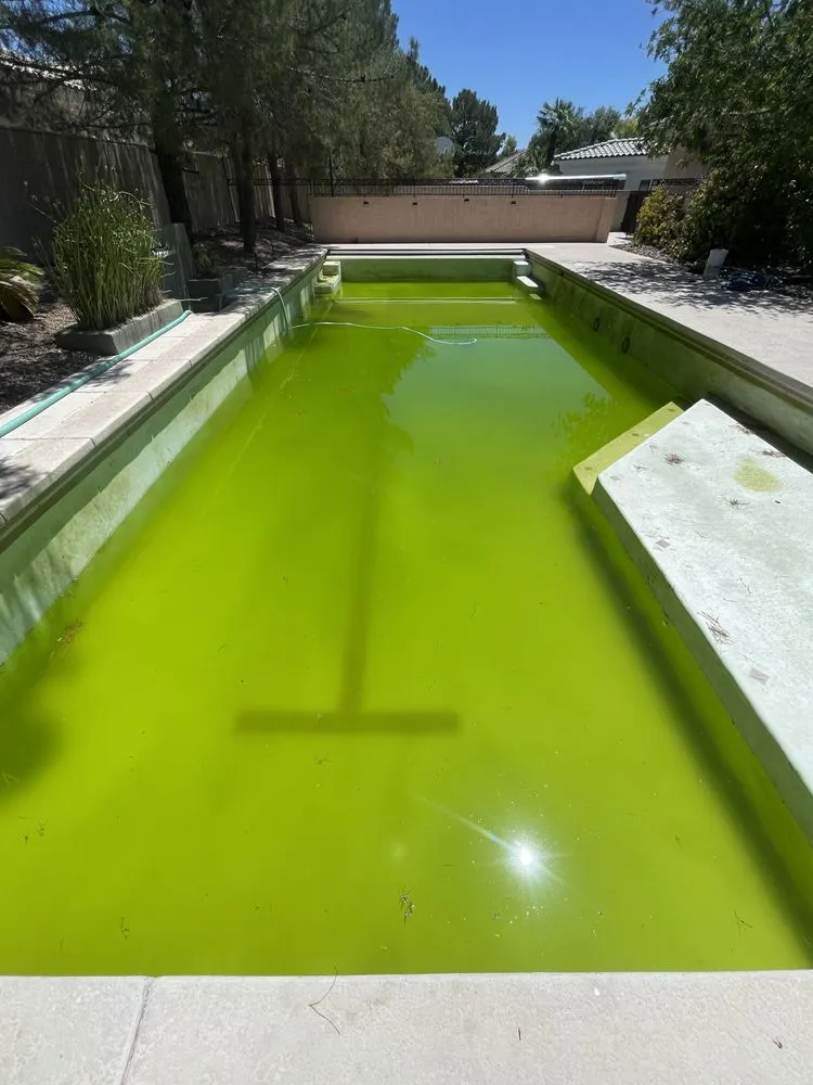 Slide of AVS Pool Service