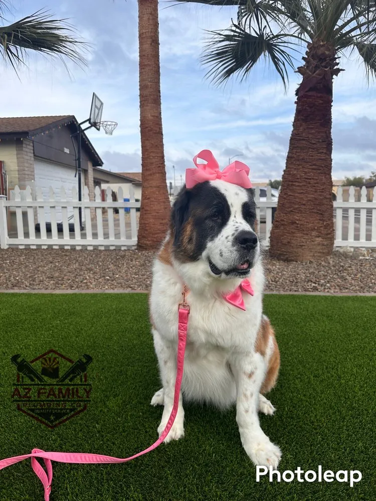 Slide of AZ Family Plumbing