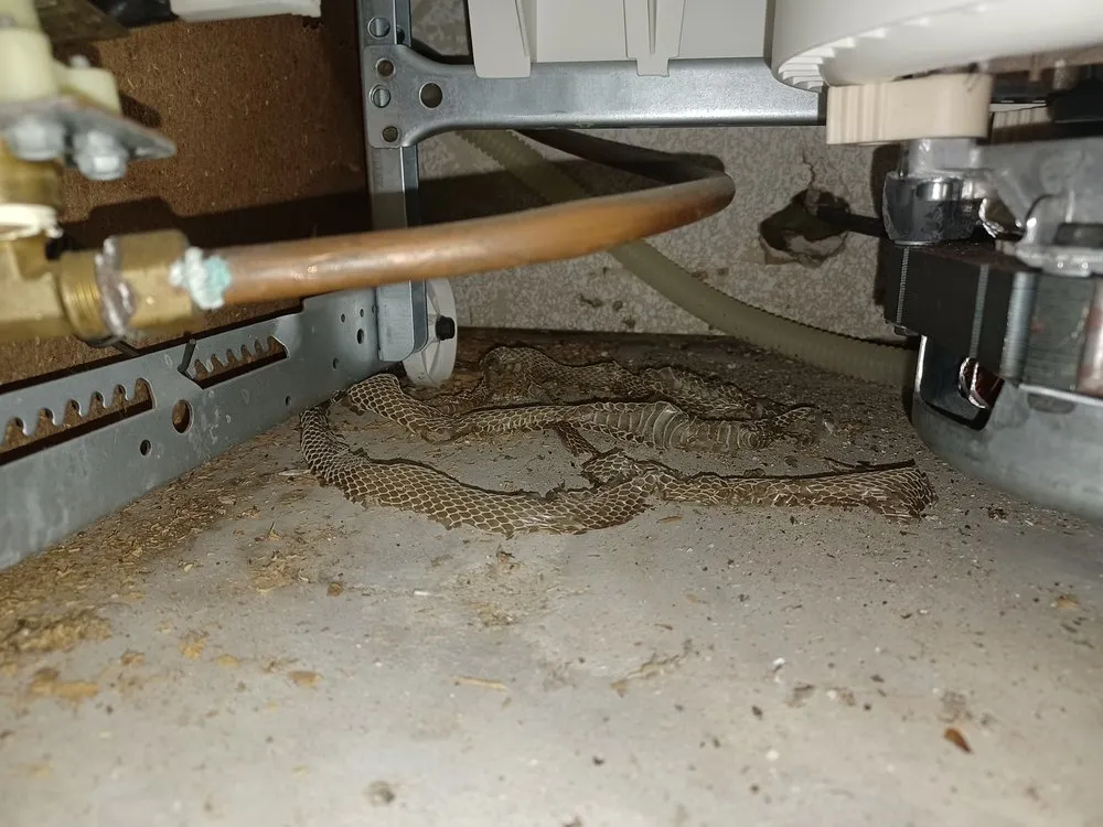 Slide of B & D Plumbing