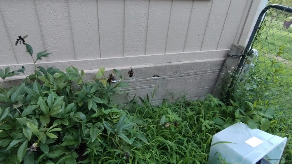 Top-rated drain cleaning in Newburg, MO by B & M Handyman Services