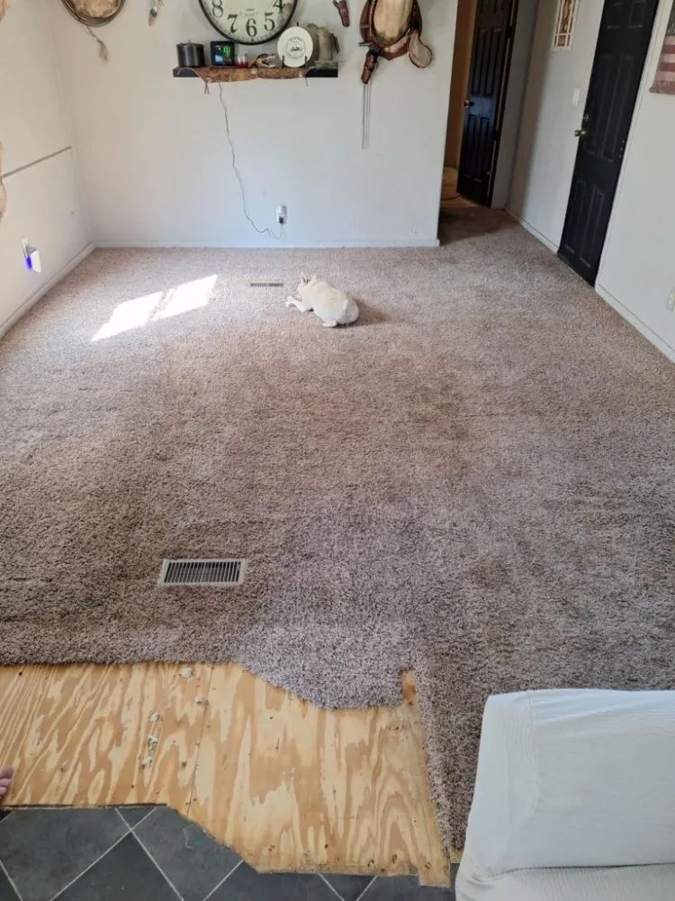 Top-rated drain cleaning experts serving Newburg, MO - B & M Handyman Services