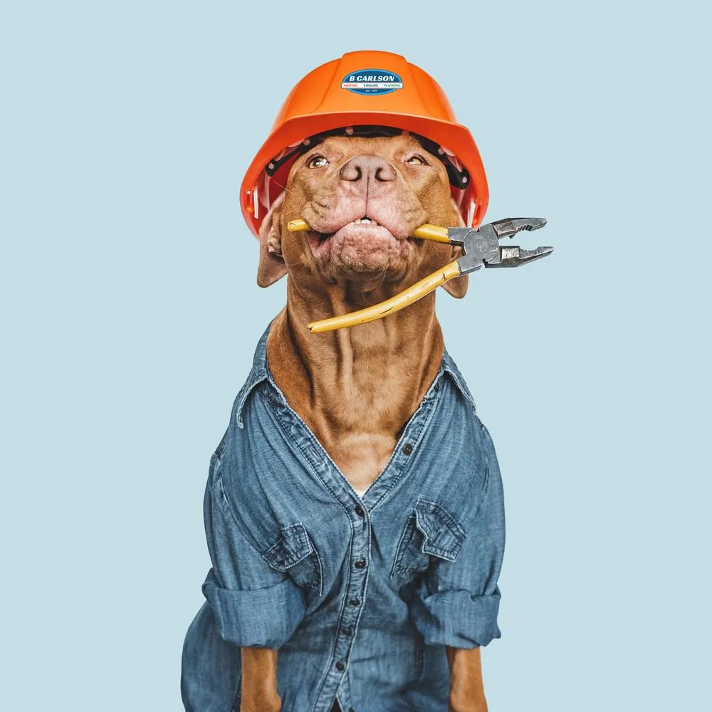 Slide of B. Carlson Heating, Cooling & Plumbing