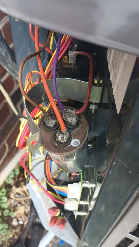 Slide of B  Daniels