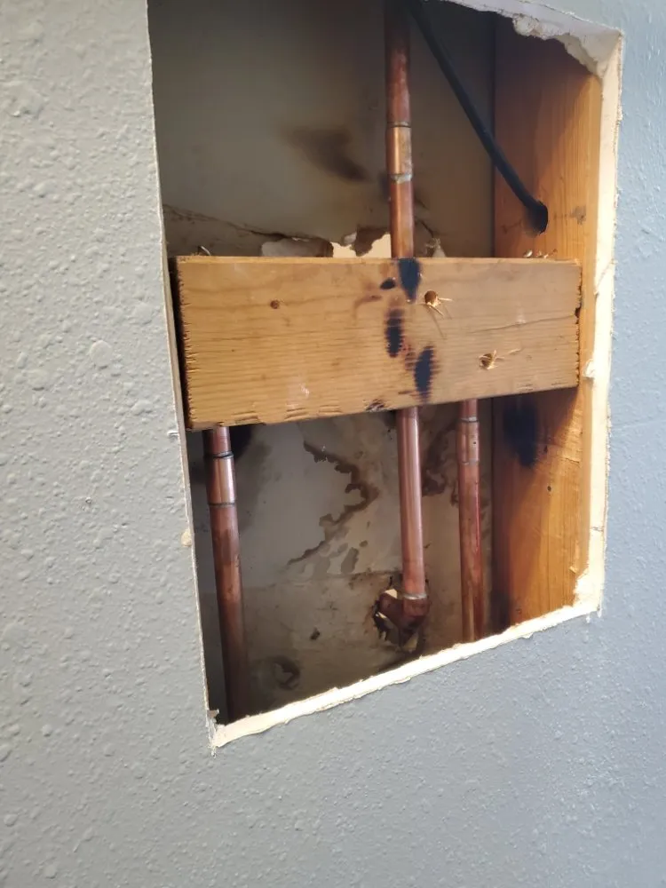 Slide of B-Line Plumbing & Drains