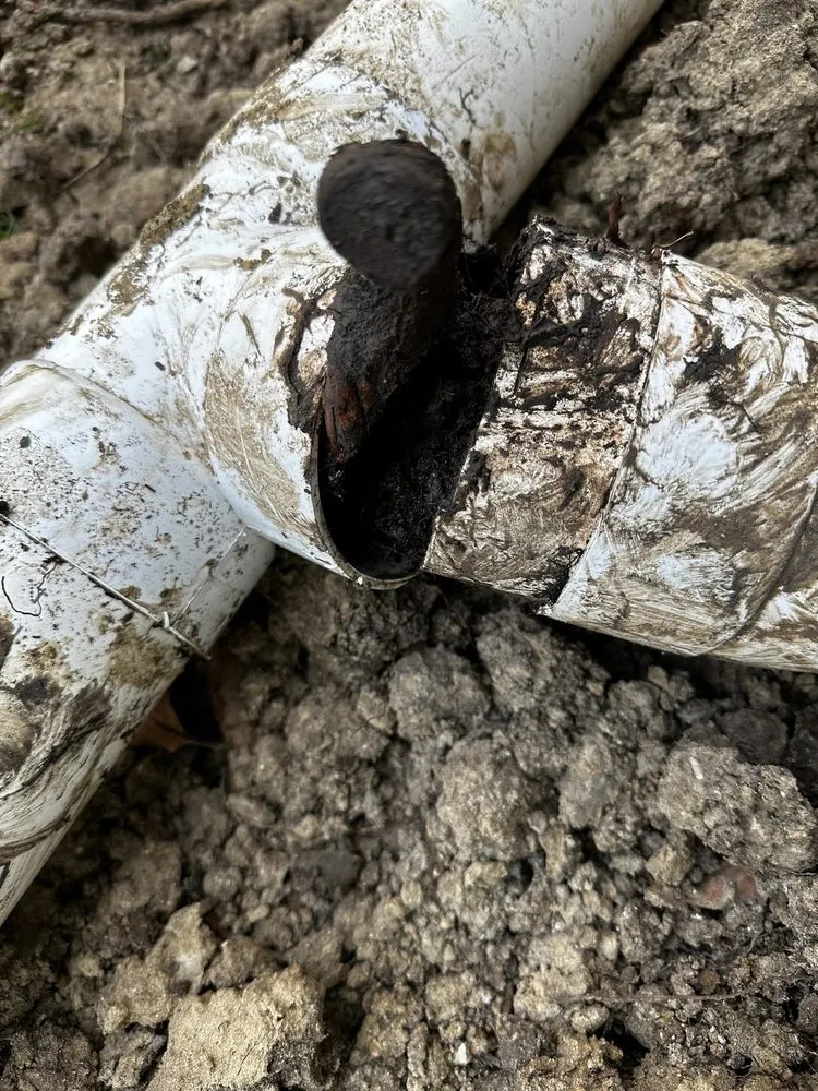 Affordable drain cleaning in Huntington Beach, CA by B2 Plumbing