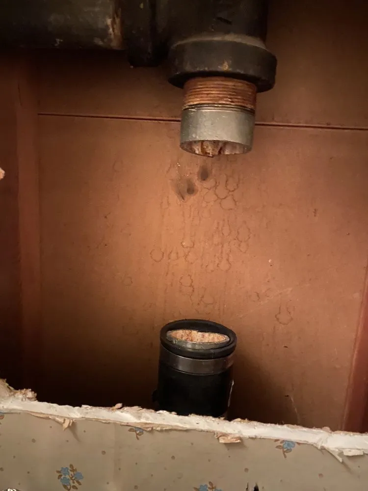 Slide of Back In a Flush Anaheim Plumbing