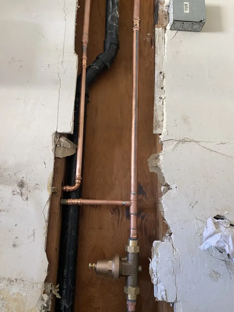 Slide of Back In a Flush Anaheim Plumbing