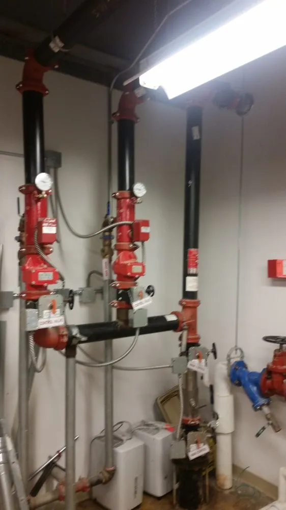 Slide of Backflow Doctors