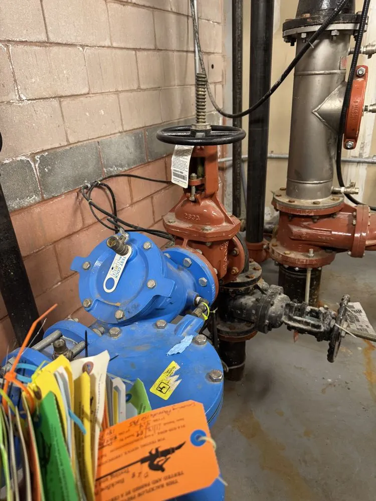 Slide of Backflow Joe's