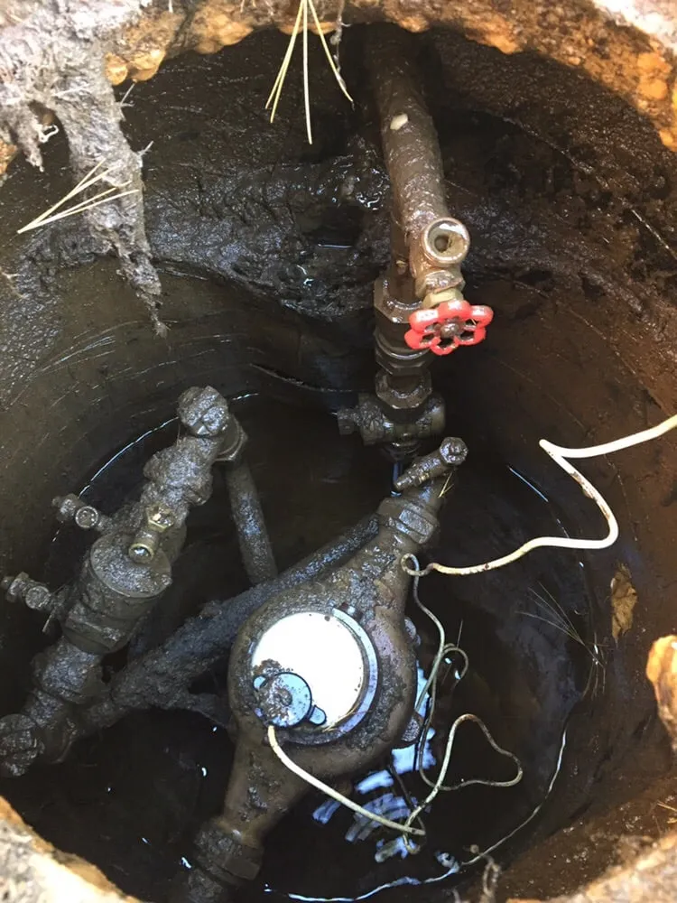 Slide of Backflow L I