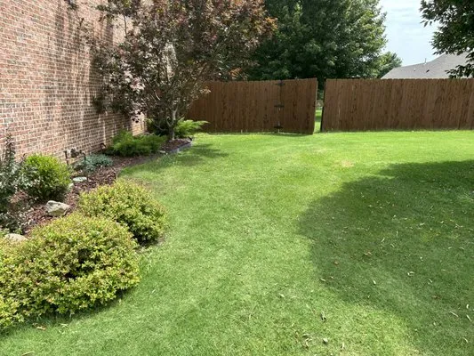 Backflow Services NWA