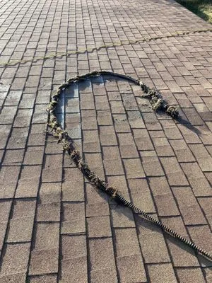 Bad Wolf Sewer & Drain