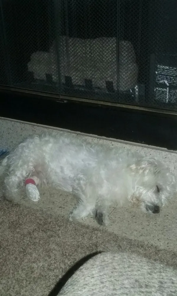 Slide of Bailey Plumbing