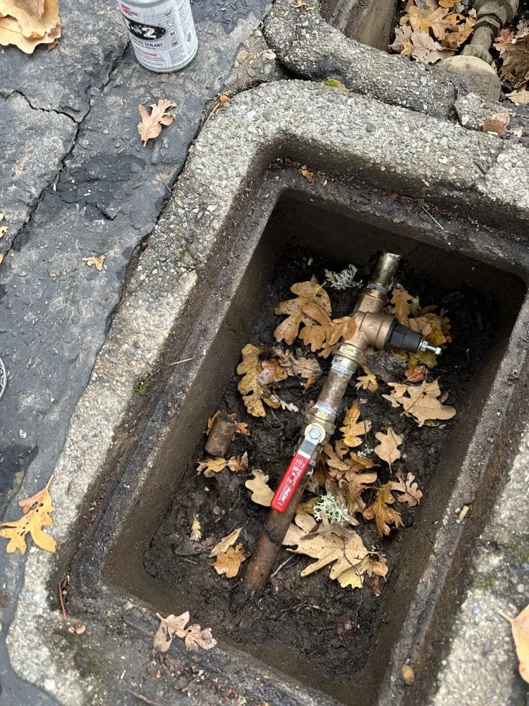 Slide of Baja Plumbing