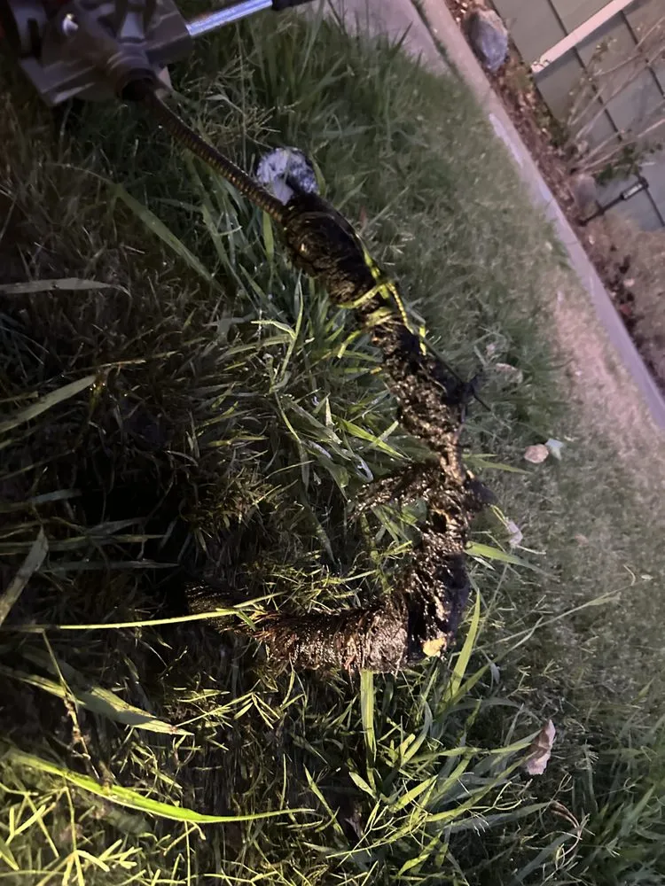 Slide of Baja Plumbing