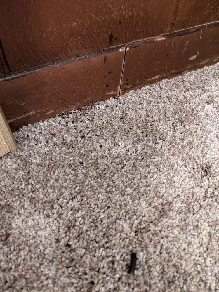 Top-rated water heater service service in Dallas, TX - Baker Brothers Plumbing, Air & Electric