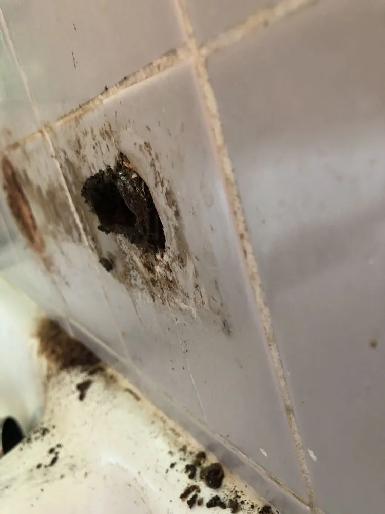 Slide of Bakersfield Plumbing Co