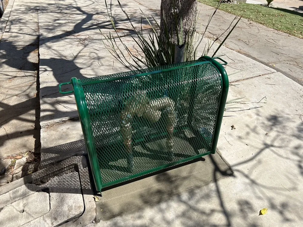 Slide of Baldwin Backflow Services