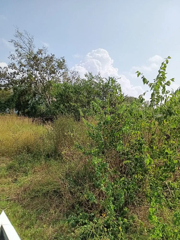 Slide of Bam Lawncare