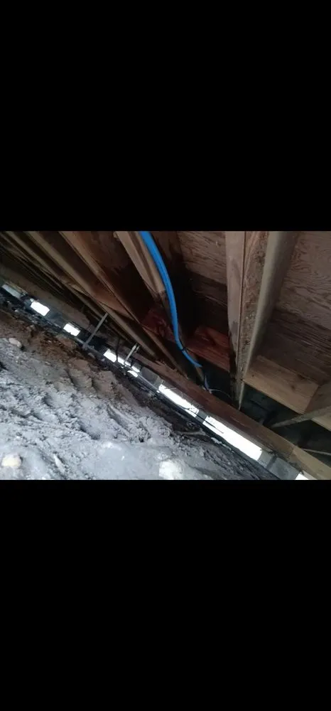 Slide of Bam Lawncare