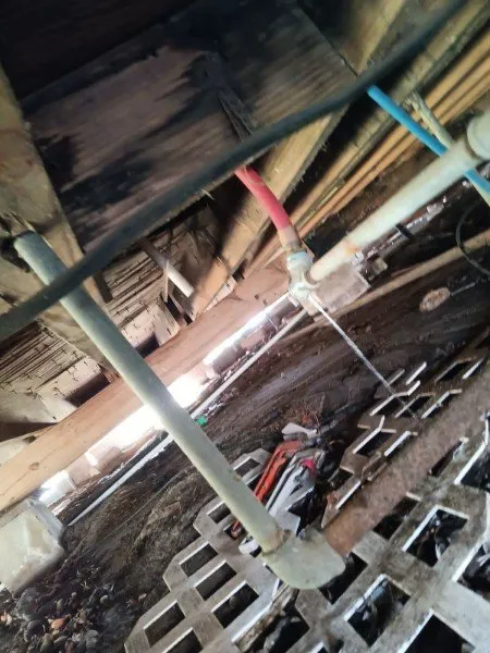 Slide of Bam Lawncare