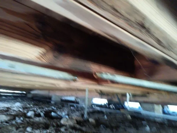 Slide of Bam Lawncare