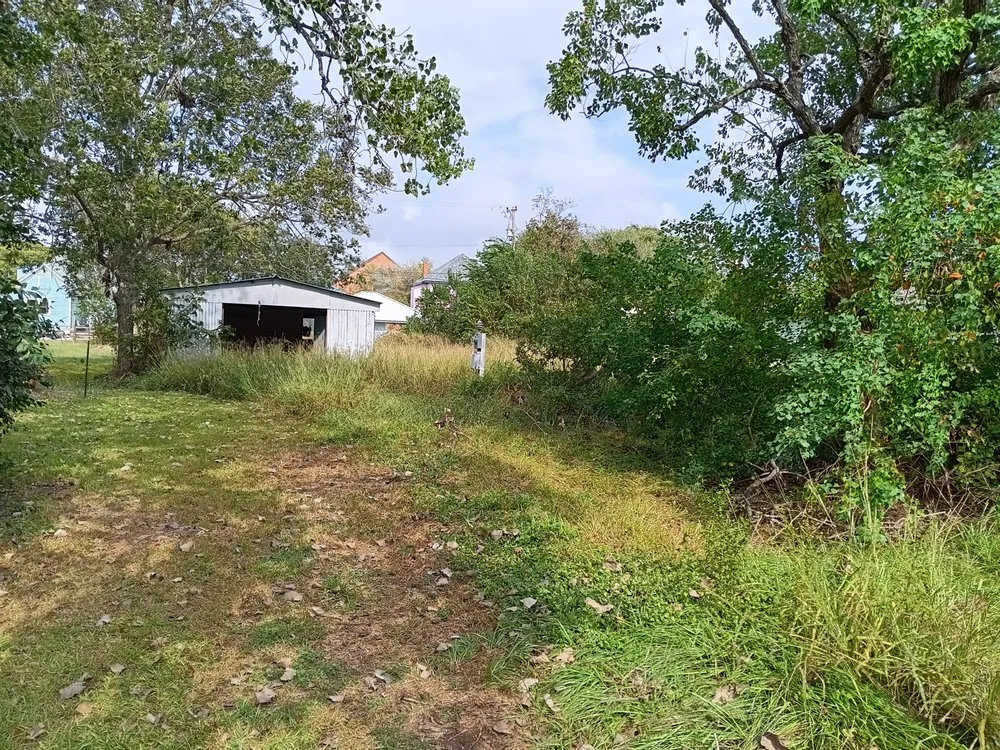 Slide of Bam Lawncare