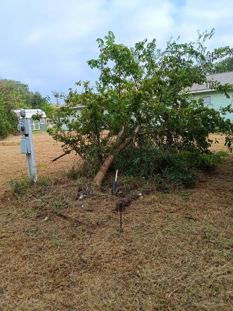 Slide of Bam Lawncare