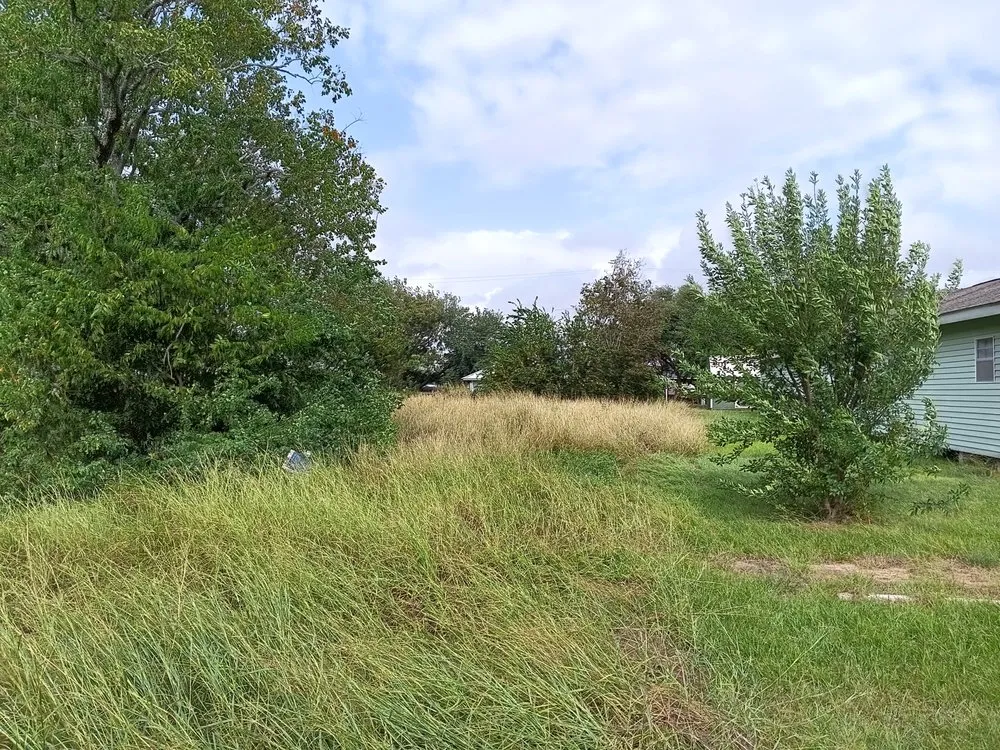 Slide of Bam Lawncare