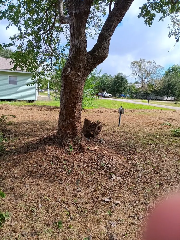 Slide of Bam Lawncare